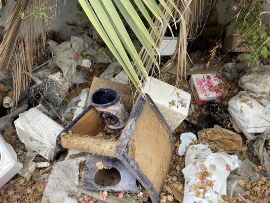 Trash Removal - Client wanted removal of trash, junk, furniture from yard. Items were removed and hauled away same day. Trash Removal - Client wanted removal of trash, junk, furniture from yard. Items were removed and hauled away same day.