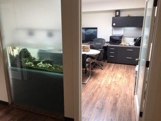 Tank set ups - Tanks set ups Tank set ups - Tanks set ups