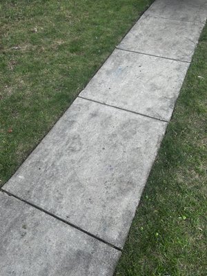 Residential Lawn Mowing - This was a basic lawn mowing package with a complimentary edging add-on due to it being their first service purchase. Residential Lawn Mowing - This was a basic lawn mowing package with a complimentary edging add-on due to it being their first service purchase.