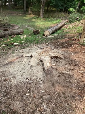 Pine stump 06/29/23 - This stump was done on 06/29/23. Took about a hour Pine stump 06/29/23 - This stump was done on 06/29/23. Took about a hour