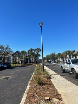 Pine Tree Removals - We took out a row of pines for an apartment complex in Daphne, AL. Not only is it going to save to sidewalk but it also offered a much better view for residents. Pine Tree Removals - We took out a row of pines for an apartment complex in Daphne, AL. Not only is it going to save to sidewalk but it also offered a much better view for residents.