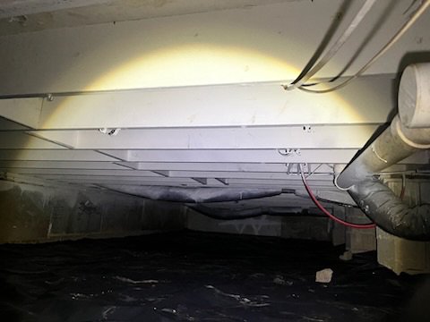 Mold remediation and vapor barrier - This is example of mold remediation job we completed and vapor barrier Mold remediation and vapor barrier - This is example of mold remediation job we completed and vapor barrier