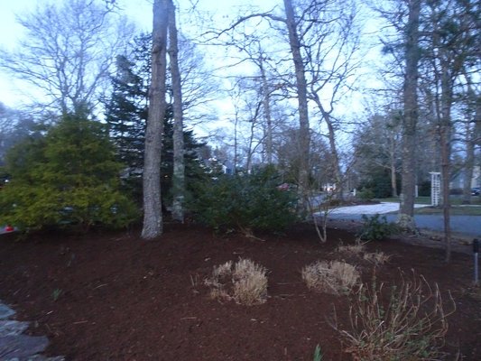 Mulch installations - Our mulch installation service begins with clearing and preparing your garden area. We spread the highest-quality mulch, ensuring even coverage and keeping it away from plant stems. Finally, we water the mulch to help it settle and provide ongoing maintenance to keep your landscape healthy and beautiful. Mulch installations - Our mulch installation service begins with clearing and preparing your garden area. We spread the highest-quality mulch, ensuring even coverage and keeping it away from plant stems. Finally, we water the mulch to help it settle and provide ongoing maintenance to keep your landscape healthy and beautiful.