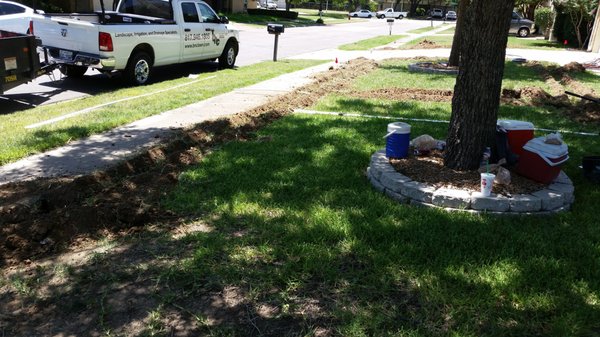 Lawn Sprinkler Installation - Installation of a lawn sprinkler system in Arlington, TX. All sprinkler systems installed by Thrive are inspected by the city and include a 3 year warranty on parts and labor. Lawn Sprinkler Installation - Installation of a lawn sprinkler system in Arlington, TX. All sprinkler systems installed by Thrive are inspected by the city and include a 3 year warranty on parts and labor.