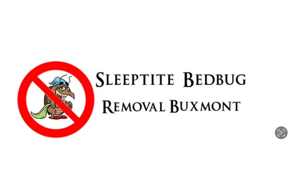 One day bedbug removal - At Sleep-tite bedbug removal we use eco friendly extermination techniques to kill bedbugs One day bedbug removal - At Sleep-tite bedbug removal we use eco friendly extermination techniques to kill bedbugs