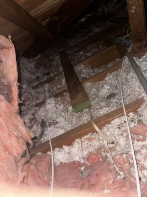 Attic cleaning and insulation installation - Attic cleaning insulation removal rodent proofing attic sanitation and install new batts r-38 Attic cleaning and insulation installation - Attic cleaning insulation removal rodent proofing attic sanitation and install new batts r-38