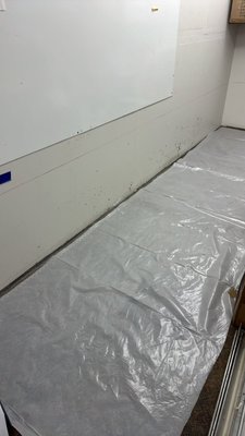 Mold Damage - This damage was due to a broken pipe through the walls.Our certified technicians extracted all the water and detected mold, after the mold a detected we removed the drywall and applied special equipment to the affected room to dry and being the property to a pre loss condition. Mold Damage - This damage was due to a broken pipe through the walls.Our certified technicians extracted all the water and detected mold, after the mold a detected we removed the drywall and applied special equipment to the affected room to dry and being the property to a pre loss condition.