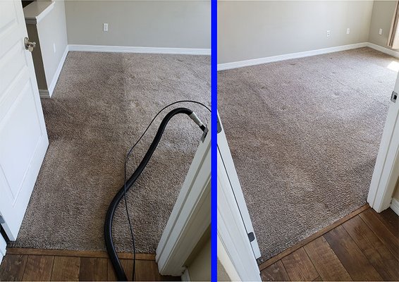 Various before and after carpet cleaning shots we've taken over the years - Over the years we've seen plenty of dirty carpets. Here's a sample of the differences carpet cleaning can make in your home or business.