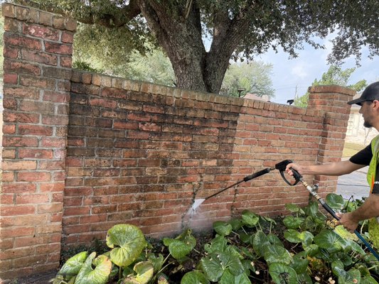Subdivision Wall - 2026 - We were hired to clean the wall in the subdivision. There is a huge difference between the before and after pictures. Subdivision Wall - 2026 - We were hired to clean the wall in the subdivision. There is a huge difference between the before and after pictures.