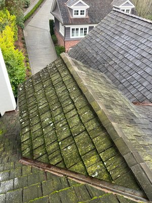 JL Contracting - Breathing in the fresh air, we tackled the two-story house, its roof a tapestry of moss. Using our eco-friendly, water-based cleaning technology, free of harsh solvents and phosphates, we gently coaxed the moss away. Witnessing the transformation was magical - the roof, once shrouded in green, now gleamed like new, reflecting the sunlight like a proud sentinel. It was as if the house had shed years, regaining its youthful vibrancy. JL Contracting - Breathing in the fresh air, we tackled the two-story house, its roof a tapestry of moss. Using our eco-friendly, water-based cleaning technology, free of harsh solvents and phosphates, we gently coaxed the moss away. Witnessing the transformation was magical - the roof, once shrouded in green, now gleamed like new, reflecting the sunlight like a proud sentinel. It was as if the house had shed years, regaining its youthful vibrancy.