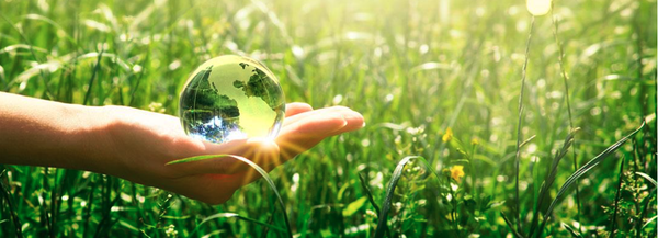 Lawn, Weed and Feed Programs - EACH PROGRAM INCLUDES:
‌Fertilizer granules, weed control, and crabgrass control. Disease control and insect control on an as needed basis.
‌Written recommendations about your specific lawn, watering and mowing tips to help you achieve a beautiful lawn.
‌Professional lawn evaluation where your turf specialist will inspect your lawn for any suspecting problems such as insects and disease.
‌Unlimited free service calls when your lawn has a special need for additional treatments, inspections, or if you just want personalized consultations.

GREENSKEEPER
Includes lawn treatments of our special slow release fertilizer throughout the year from spring to fall.

EARTHCARE
Uses Natural Organic fertilizer in each of its treatments throughout the year from spring to fall.

EACH PROGRAM CUSTOMIZES EVERY TREATMENT FOR YOUR LAWN.
After inspecting the lawn, your turf specialist chooses the correct types and amounts of lawn products to optimize results. The products used may be different than the neighboring customer.

EACH PROGRAM GOAL IS TO ACHIEVE 100% CHEMICAL FREE LAWNCARE.
EACH PROGRAM CAN BE ADJUSTED TO FIT ANY BUDGET.

OTHER SERVICES AVAILABLE
‌Deep core aeration
‌Lawn conditioners
‌Winterizer fertilizer
‌Tree and shrub care
‌Fertilizer
‌Weed control
‌Insect control
‌Disease control
‌Lawn exams