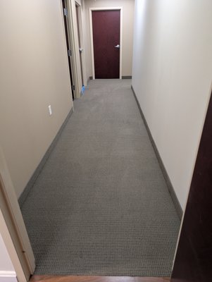 Common hallway commercial carpet cleaning before and after - This hallway was a very high traffic area Common hallway commercial carpet cleaning before and after - This hallway was a very high traffic area