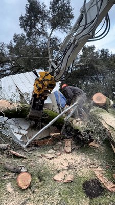 Emergency Fallen Tree Removal After Structural Damage - Service: Emergency Tree Removal & Storm Damage Cleanup
We responded to an emergency call after a large tree collapsed onto a structure during severe weather. Our crew arrived quickly and used heavy‑duty equipment to safely lift and remove the fallen tree. Working around unstable debris and a damaged roof required precision, controlled cuts, and strict safety procedures.
Our team secured the area, prevented further damage, and cleared all major branches and debris. We ensured the property was safe for the homeowner to access and prepared the site for repairs.
Result:
Safe removal of a hazardous fallen tree, stabilization of the affected area, and full debris cleanup. Fast response and professional execution during a high‑risk emergency situation. Emergency Fallen Tree Removal After Structural Damage - Service: Emergency Tree Removal & Storm Damage Cleanup
We responded to an emergency call after a large tree collapsed onto a structure during severe weather. Our crew arrived quickly and used heavy‑duty equipment to safely lift and remove the fallen tree. Working around unstable debris and a damaged roof required precision, controlled cuts, and strict safety procedures.
Our team secured the area, prevented further damage, and cleared all major branches and debris. We ensured the property was safe for the homeowner to access and prepared the site for repairs.
Result:
Safe removal of a hazardous fallen tree, stabilization of the affected area, and full debris cleanup. Fast response and professional execution during a high‑risk emergency situation.