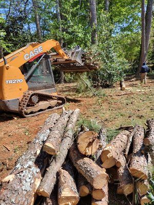 Large Backyard Clearing Project Marietta Georgia - These are some photos taken of a large backyard clearing project in Marietta where the clients wanted to get rid of over 16 tall pine trees and underbrush as part of an even bigger landscaping project for their home. After clearing out the trees that they wanted removed we were then hired to do even more work which included some maintenance and tree trimming around the rest of the property. Large Backyard Clearing Project Marietta Georgia - These are some photos taken of a large backyard clearing project in Marietta where the clients wanted to get rid of over 16 tall pine trees and underbrush as part of an even bigger landscaping project for their home. After clearing out the trees that they wanted removed we were then hired to do even more work which included some maintenance and tree trimming around the rest of the property.