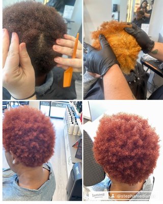 VIVID Colors - Vivid color transformation with a bleach-and-tone base—bold, bright, and unapologetic!