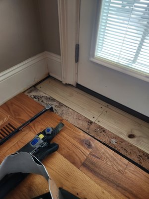 Mrs. Lou flooring repair - This was a small area of termite damage to the flooring against the back door in Mooresville NC