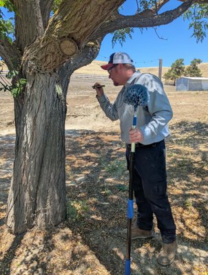 Inspections - Inspections are the most important part of Pest control, this is when you find the issue and treat accordingly to type pest infestation. Each home/ property is different and should have a unique solution tailored to their needs. Inspections - Inspections are the most important part of Pest control, this is when you find the issue and treat accordingly to type pest infestation. Each home/ property is different and should have a unique solution tailored to their needs.