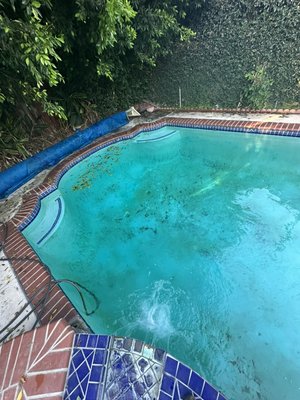 Otro cliente satisfecho…
Another satisfied costumer… - Esta piscina estaba echa un desastre, pero con Edgar’s pool service ayudamos ah otro cliente que está completamente satisfecho, gracias por confiar en nosotros…
This pool was a mess, but with Edgar's pool service we helped another customer who is completely satisfied, thank you for trusting us... Otro cliente satisfecho…
Another satisfied costumer… - Esta piscina estaba echa un desastre, pero con Edgar’s pool service ayudamos ah otro cliente que está completamente satisfecho, gracias por confiar en nosotros…
This pool was a mess, but with Edgar's pool service we helped another customer who is completely satisfied, thank you for trusting us...