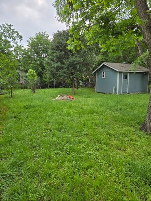 Backyard, overgrowth cleanup. $100 Range - Thank you for viewing Backyard, overgrowth cleanup. $100 Range - Thank you for viewing