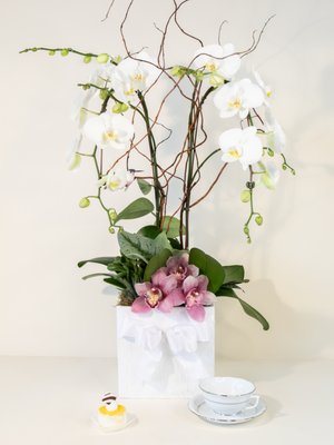 Corporate Events - Behind every one of our floral creations is our passion to transform your moment into a lasting memory. From luxury weddings to intimate celebrations and large events, our team of designers will take you through a creative journey from consultation and preparation, to the moment of celebration. It is our designers ability to understand the space and occasion from each point of view that has allowed us to work with some of the largest Fashion, Hospitality and Celebrity names in the world, and to help them elevate events into something unforgettable. Corporate Events - Behind every one of our floral creations is our passion to transform your moment into a lasting memory. From luxury weddings to intimate celebrations and large events, our team of designers will take you through a creative journey from consultation and preparation, to the moment of celebration. It is our designers ability to understand the space and occasion from each point of view that has allowed us to work with some of the largest Fashion, Hospitality and Celebrity names in the world, and to help them elevate events into something unforgettable.