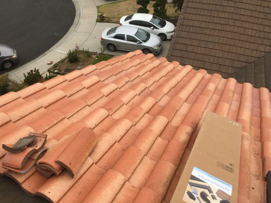 Clay Roof Reinstallation Done Right - Clay Roof Reinstallation Done Right
At Tomax Construction & Development, we specialize in the expert reinstallation of clay roofing, blending traditional craftsmanship with modern precision. Whether you’re restoring a historic home or upgrading your current roof, our team ensures every tile is carefully removed, inspected, and replaced with durability and beauty in mind.
Our process begins with a full inspection and safe removal of the existing clay tiles. We repair or replace any damaged underlayment and flashing to ensure your roof’s foundation is solid and weatherproof. Then, using high-quality clay tiles—new or preserved—we reinstall each piece with meticulous attention to alignment, spacing, and waterproofing.
The result? A stunning clay roof that not only enhances curb appeal but stands strong against time, sun, wind, and rain.
✅ Traditional beauty
✅ Long-lasting performance
✅ Expert craftsmanship
✅ Weatherproof protection
Reinstall your clay roof the right way—with the experts you can trust.
📞 Call for a Free Estimate: 3238043465
🌐 Visit: www.tomaxconstructionanddevelopment.com Clay Roof Reinstallation Done Right - Clay Roof Reinstallation Done Right
At Tomax Construction & Development, we specialize in the expert reinstallation of clay roofing, blending traditional craftsmanship with modern precision. Whether you’re restoring a historic home or upgrading your current roof, our team ensures every tile is carefully removed, inspected, and replaced with durability and beauty in mind.
Our process begins with a full inspection and safe removal of the existing clay tiles. We repair or replace any damaged underlayment and flashing to ensure your roof’s foundation is solid and weatherproof. Then, using high-quality clay tiles—new or preserved—we reinstall each piece with meticulous attention to alignment, spacing, and waterproofing.
The result? A stunning clay roof that not only enhances curb appeal but stands strong against time, sun, wind, and rain.
✅ Traditional beauty
✅ Long-lasting performance
✅ Expert craftsmanship
✅ Weatherproof protection
Reinstall your clay roof the right way—with the experts you can trust.
📞 Call for a Free Estimate: 3238043465
🌐 Visit: www.tomaxconstructionanddevelopment.com