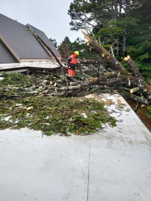 Tree on the roof - During the January 2024 ice storm, we cleaned the tree off of the roof and the rest of the property Tree on the roof - During the January 2024 ice storm, we cleaned the tree off of the roof and the rest of the property