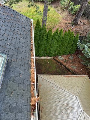 Gutter cleaning - Before & After Gutter Cleaning Gutter cleaning - Before & After Gutter Cleaning