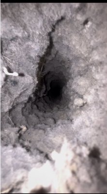 Dryer Vent before & after - Before and after of a dryer vent cleaning! Dryer Vent before & after - Before and after of a dryer vent cleaning!