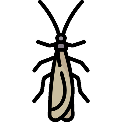 Termite Treatments - Termites cost homeowners across the US millions in damages every year. Don’t let your Richardson home become a statistic: contact Haven Pest Solutions for a termite inspection today. Get rid of termites in your home with Haven Pest Solutions termite expert exterminators. We use termite bait sations and liquid soil-applied termiticides. Our pro will recommend the best opposition for your home. Termite Treatments - Termites cost homeowners across the US millions in damages every year. Don’t let your Richardson home become a statistic: contact Haven Pest Solutions for a termite inspection today. Get rid of termites in your home with Haven Pest Solutions termite expert exterminators. We use termite bait sations and liquid soil-applied termiticides. Our pro will recommend the best opposition for your home.