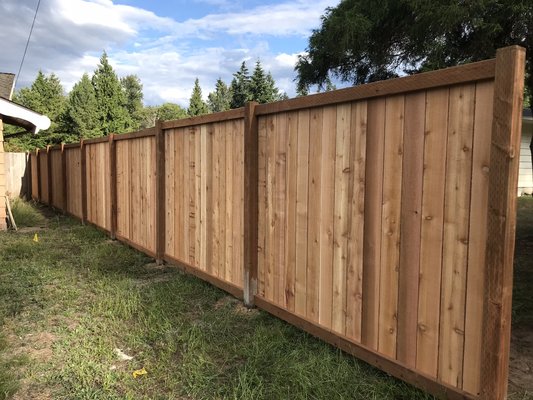 Fence in Issaquah 2025 - This fence was done in 4 days also had all the construction debris removed Fence in Issaquah 2025 - This fence was done in 4 days also had all the construction debris removed