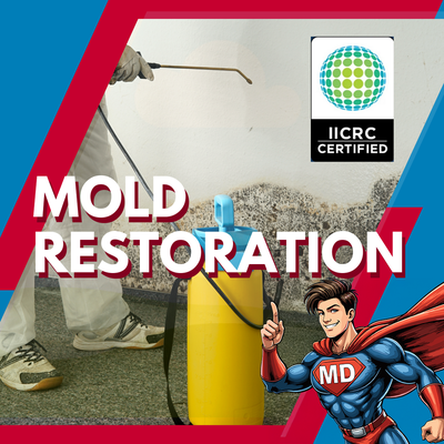 Mold Restoration & Remediation - Mighty Dry Restoration handles cases of mold in residential and commercial properties from flood, storm or fire damage. We serve all of Southern California with 24/7 response and FREE evaluations!
