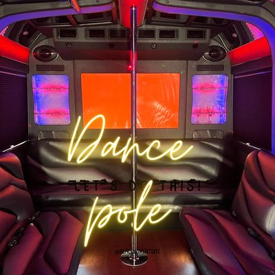 Birthday party !! - This was a birthday party hosted at the Partybus4all it was a blast !!