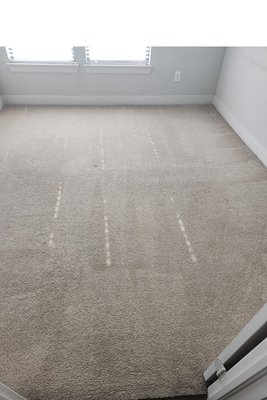 Carpet Cleaning - Check out some of our latest carpet cleanings! Carpet Cleaning - Check out some of our latest carpet cleanings!