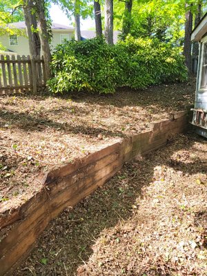 backyard restoration - this was done on the side and backyard of house. it was a small saplings and ivy removal backyard restoration - this was done on the side and backyard of house. it was a small saplings and ivy removal