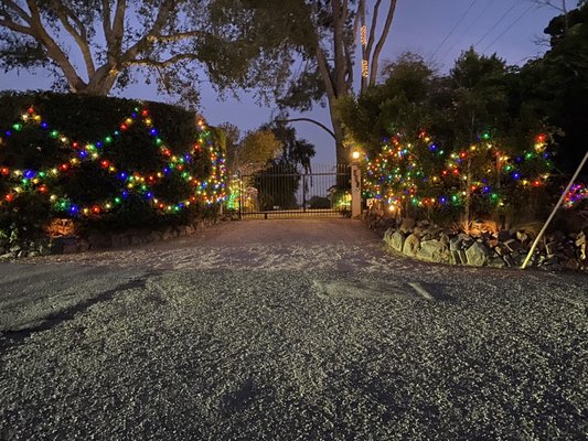 Encinitas lights - We had our work cutout for us but hit this one out of the park. The hedge was 120ft and massive. My worker Joe came up with the pattern and it came out perfect. The back yard was also no easy task. The 3 sets of trees made a huge canopy which we filled with 300 bulbs. Encinitas lights - We had our work cutout for us but hit this one out of the park. The hedge was 120ft and massive. My worker Joe came up with the pattern and it came out perfect. The back yard was also no easy task. The 3 sets of trees made a huge canopy which we filled with 300 bulbs.