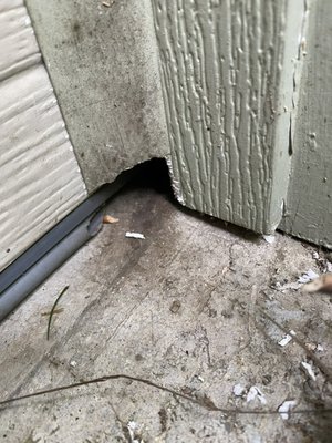 Rodents can damage your home - These are just a few examples of the damage rodents can cause in your home. Left unchecked, they can chew electrical wiring, creating a fire risk, damage insulation and lead to thousands of dollars in repairs, and contaminate heating ducts with droppings and urine.

Hearing scratching or seeing signs of rodents? Contact Frontier Pest Control to schedule an inspection and address the problem before the damage gets worse.