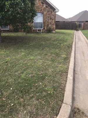 Mario Lawn Service - These lawn I mowed were not in bad condition but made it look better than it was before and my customers were happy with my work! So call today and I’ll cut same day
