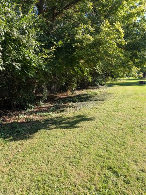 Fence Line Clean Up. - This 2 day project was done on a lot with a 40 yard long fence line that was covered by bushes and small trees. The first day was dedicated to cutting down all the bushes and piling them up. The second day was dedicated to feeding the bushes through the chipper and clean up. Fence Line Clean Up. - This 2 day project was done on a lot with a 40 yard long fence line that was covered by bushes and small trees. The first day was dedicated to cutting down all the bushes and piling them up. The second day was dedicated to feeding the bushes through the chipper and clean up.