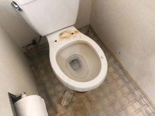 Clean Out - Before and after pictures