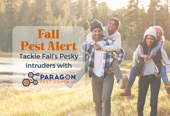 Falling for Pest Control: Prepare for These Seasonal Intruders! - Fall brings a symphony of colors and comforting moments, but it also attracts unwanted guests seeking shelter. From scuttling rodents to the sneaky presence of spiders, we understand the importance of preserving your cozy autumn sanctuary. Our team of experts is well-equipped to tackle the seasonal pests that may find their way into your home, providing you with a peaceful and pest-free haven to savor the warm and inviting vibes of the season.


For all your pest control needs, trust Paragon Pest Control! We offer rodent and wildlife exclusion, termite treatment, mosquito and tick control, and more. With our affordable payment options, and no contract philosophy, you can receive top-notch pest control without breaking the bank. Proudly serving a wide range of cities in the DFW area, including Grand Prairie, Dallas, Fort Worth, Arlington, Plano, Irving, Garland, and more. Let us help you reclaim your home today!