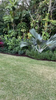 Landscape New Home 2024 - At Nature’s Dream Landscape & Tree Service, we transformed a Pinecrest home’s basic landscape into a stunning, personalized garden. Originally meeting only minimal code requirements, the owner envisioned a cohesive outdoor space where each area had its own unique charm. We carefully designed the new landscape in phases to align with the client’s priorities, blending creativity with functionality.
Our expert team adjusted the existing irrigation system to provide precise coverage for the fresh plantings, ensuring long-term health and vibrancy. The project was completed efficiently, with a focus on quality and professionalism, leaving the client with a neat, breathtaking garden.
Trust us to bring your outdoor vision to life with tailored solutions and exceptional attention to detail. Get in touch today for a consultation and discover the true potential of your landscape! Landscape New Home 2024 - At Nature’s Dream Landscape & Tree Service, we transformed a Pinecrest home’s basic landscape into a stunning, personalized garden. Originally meeting only minimal code requirements, the owner envisioned a cohesive outdoor space where each area had its own unique charm. We carefully designed the new landscape in phases to align with the client’s priorities, blending creativity with functionality.
Our expert team adjusted the existing irrigation system to provide precise coverage for the fresh plantings, ensuring long-term health and vibrancy. The project was completed efficiently, with a focus on quality and professionalism, leaving the client with a neat, breathtaking garden.
Trust us to bring your outdoor vision to life with tailored solutions and exceptional attention to detail. Get in touch today for a consultation and discover the true potential of your landscape!