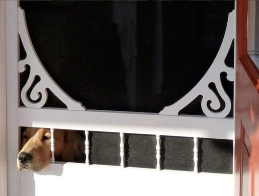 PATIO Screen Replacement - Screen Door Replacement. DA BUGS STOP HERE! 
Call or Text for a FREE ESTIMATE with Stacey's Quality Window Screens and Door Screens Replacement OAHU Honolulu.
808-400-1116 

Stacey's Mobile Screen Repairs OAHU offers you high-quality screen windows and screen doors with attractive design options that will stand the test of time. We take pride in providing affordable solutions so you can get the feel you want for your new home or office or a fresh look for your current property without spending a fortune! When it comes to the entrances to your home, trust us to find the perfect solution! We're your number-one screen experts in HAWAII.


Give us a call today! Ask for Sy
Experience our Amazing, Reliable, Professional and Knowledgeable Screen Specialist.

Window Screen Services
Commercial & Residential Services
Free Estimates & Island Wide Service
Sliding Screen Door
Door Screen Repair, Replacement & Installation