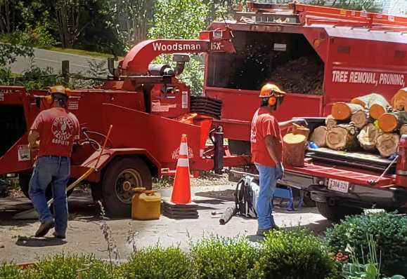 Call Today For Your FREE ESTIMATE - Mitchell Tree & Stump Service has more than 30 years of experience, and we proudly service Fredericksburg, Virginia, and surrounding areas. We can handle all of your tree service needs, and we are fully licensed and insured. Your complete safety and satisfaction is our goal on every job that we perform. Call us today for a free estimate! Call Today For Your FREE ESTIMATE - Mitchell Tree & Stump Service has more than 30 years of experience, and we proudly service Fredericksburg, Virginia, and surrounding areas. We can handle all of your tree service needs, and we are fully licensed and insured. Your complete safety and satisfaction is our goal on every job that we perform. Call us today for a free estimate!