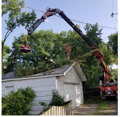 Tree Services ! - Our arborists in Indianapolis are not only licensed but experienced, with over 40 years serving the people of Indiana’s capital. We pride ourselves on keeping up with the very latest in tree care science and technology.