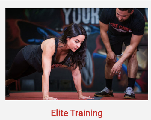Elite Training - Elite is a personalized, small group training that is provided by a Camp trainer. A trainer is allowed up to 8 people on their elite team and they are required to provide a minimum of 8, 1-hour sessions per month. Elite Training - Elite is a personalized, small group training that is provided by a Camp trainer. A trainer is allowed up to 8 people on their elite team and they are required to provide a minimum of 8, 1-hour sessions per month.