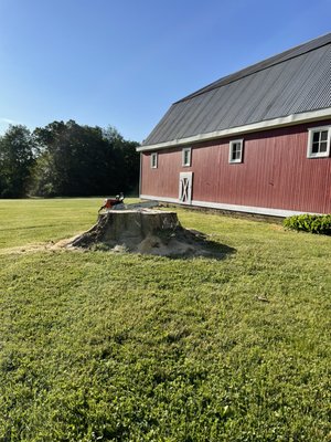 Stump removal - Stump removal
