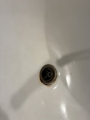 Before V.S After of this sink drain! - This commercial sink drain was in need of some love, nothing a good scrub won’t fix!
