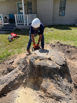 Stump Grind - Before and After - This massive stump was removed so the client could plant sod over it. There is no job too big for us here at ArborZone Tree Service! We offer stump grinding, tree removal, tree trimming, and other services in the San Antonio and Austin metro areas.