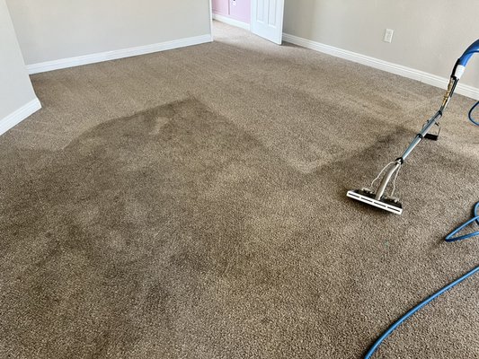 Carpet restoration cleaning - Customer was ready to replace but was able to save money ! Carpet restoration cleaning - Customer was ready to replace but was able to save money !