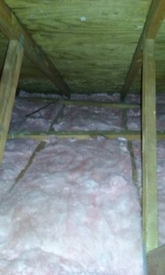 Feces Removal and Insulation Replacement - This customer's house had Rats. Even though they had an quarterly contract with a typical pest control company, they're Rats were simply being controlled and not eliminated. In our area, we are prone to what we call Roof Rats. These Rats will stay inside your attic or crawl space and will not enter your living space. However they will come and go and "live" in your attic and/or crawl space. After a thorough inspection, and Rat access point assessment, Epix Wildlife Removal successfully sealed out the Rats and cleaned out their attic. Attic clean outs and feces removal is key to preventing future infestations. Feces Removal and Insulation Replacement - This customer's house had Rats. Even though they had an quarterly contract with a typical pest control company, they're Rats were simply being controlled and not eliminated. In our area, we are prone to what we call Roof Rats. These Rats will stay inside your attic or crawl space and will not enter your living space. However they will come and go and "live" in your attic and/or crawl space. After a thorough inspection, and Rat access point assessment, Epix Wildlife Removal successfully sealed out the Rats and cleaned out their attic. Attic clean outs and feces removal is key to preventing future infestations.